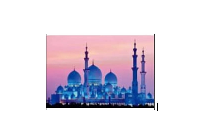 Мозаика алмазная 21156-2, 30х40 см GB87591 купить