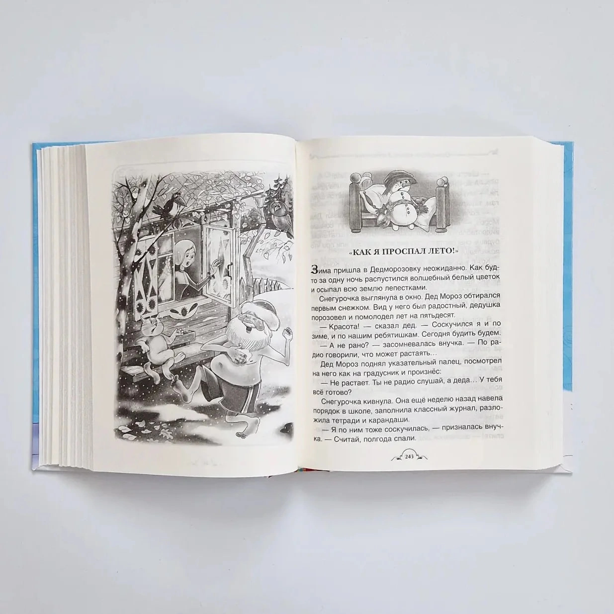 Андрей Усачев: Всё про Дедморозовку (6 историй) onlayn