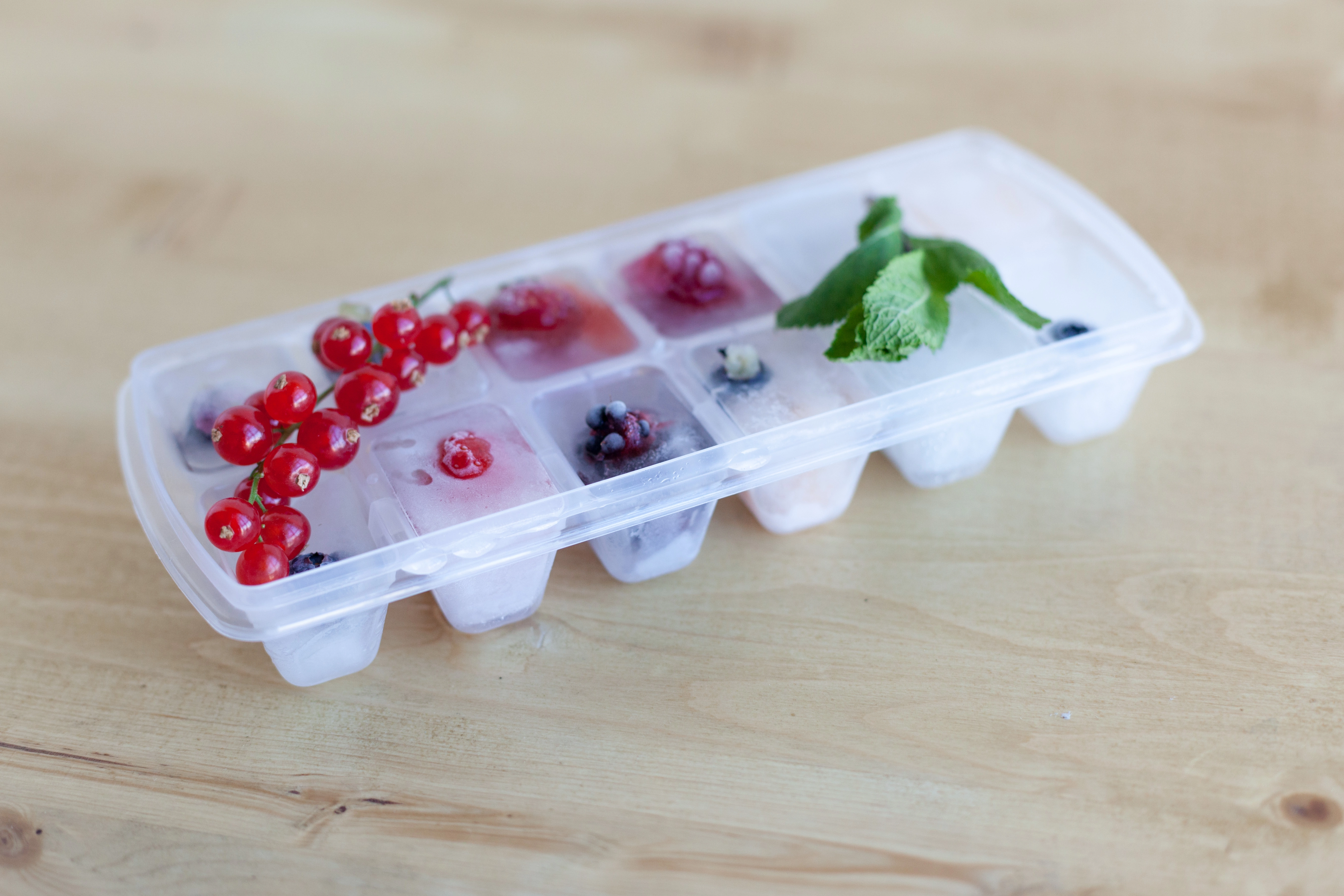 Форма для льда Plast Team HELSINKI, с крышкой, 12 ячеек, 230х96х40 в Узбекистане