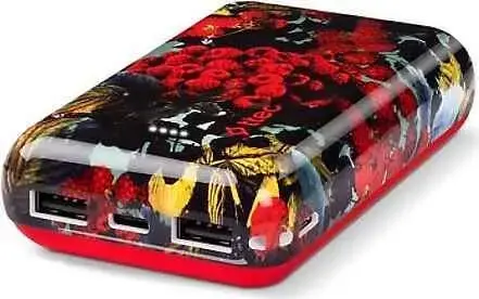 Power bank TTEC ArtPower 10000mAh 2BB188AH - фото №3 Power bank TTEC ArtPower 10000mAh 2BB188AH недорого