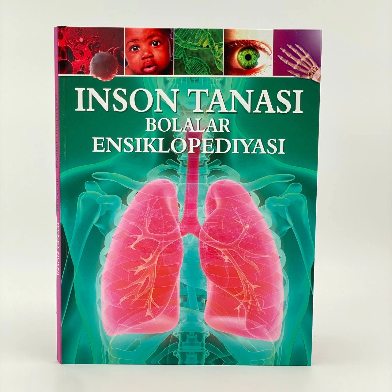 Инсон танаси. Болалар энциклопедияси купить