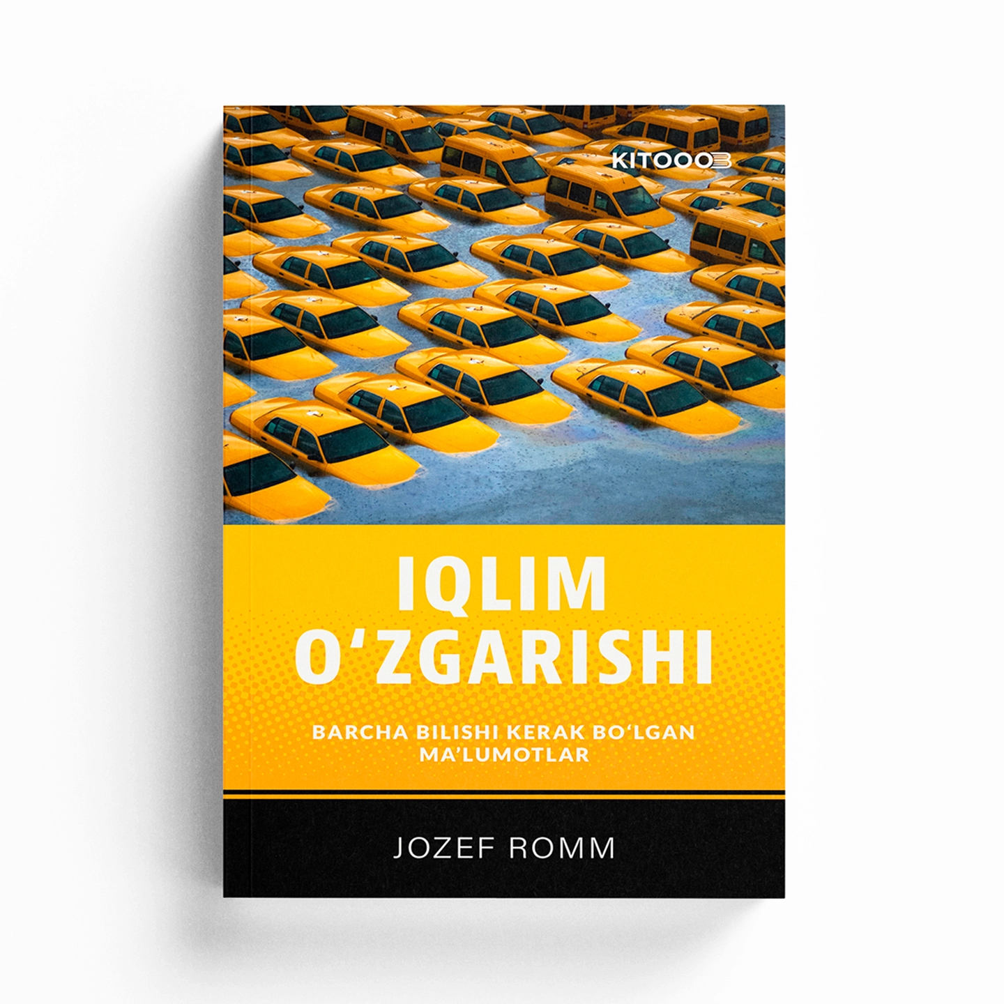 Jozef Romm: Iqlim o'zgarishi arzon
