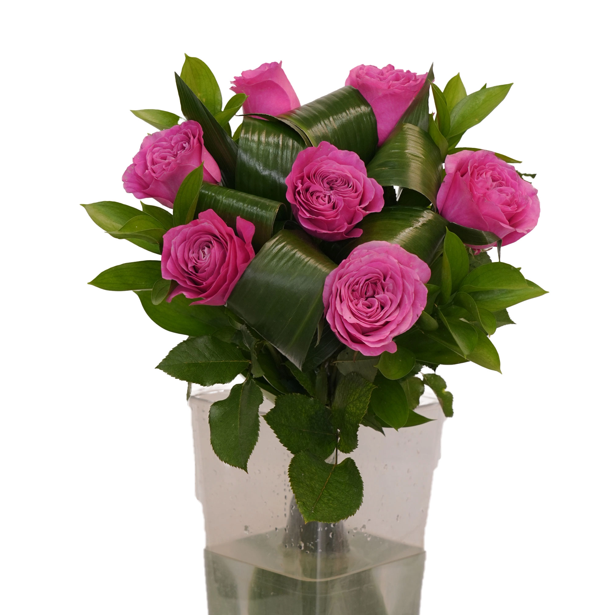 "Piona Alfa" guldastasi arzon