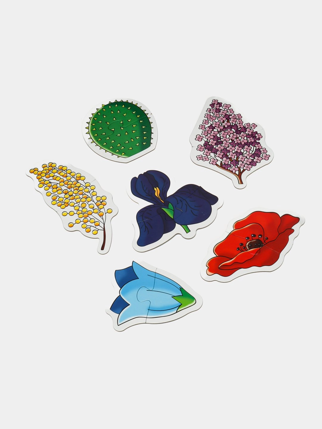 "Какой цвет?" (Baby Step) o'quv o'yini onlayn