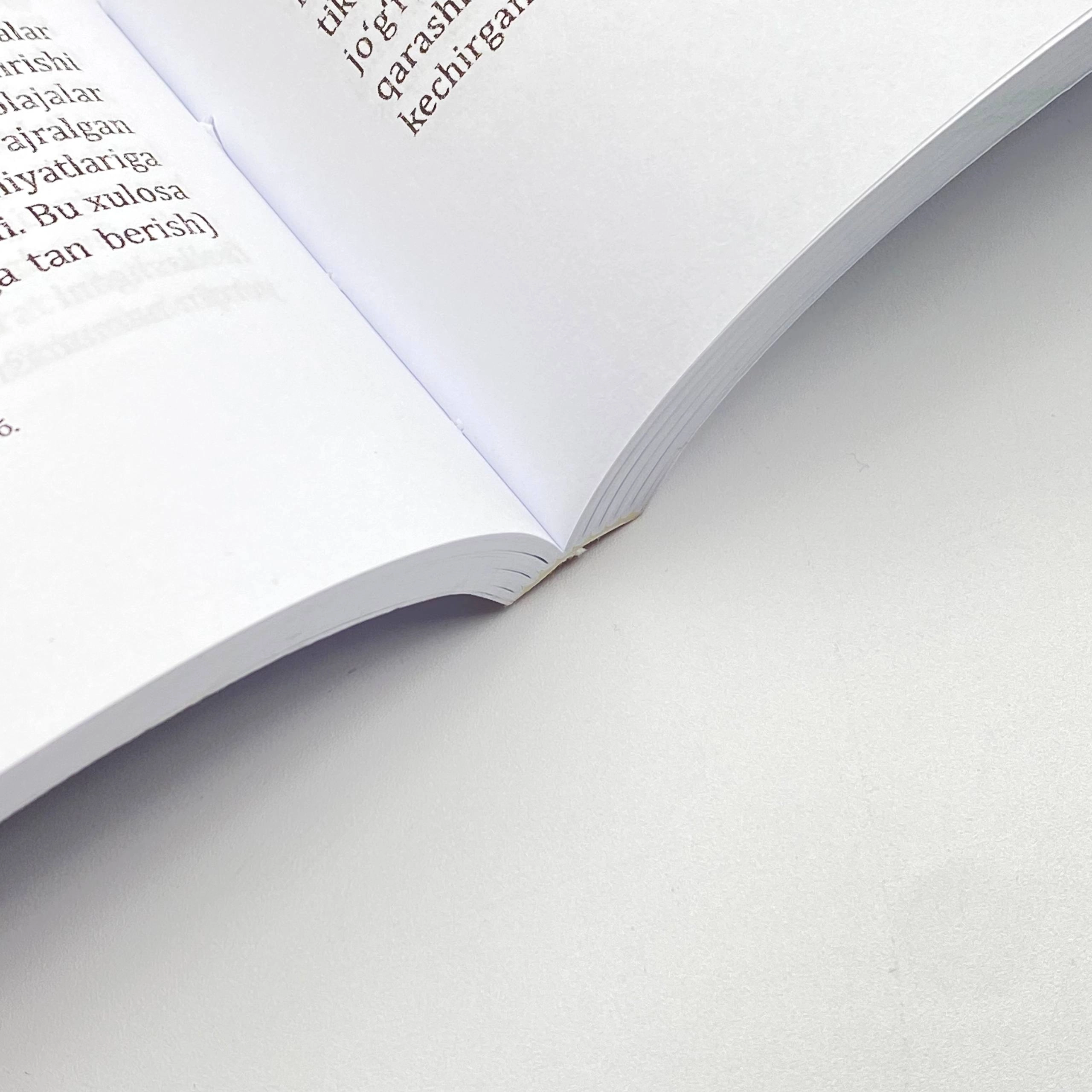 Ilhom G'ani: Erkin A'zamning badiiy mahorati va adabiy-estetik qarashlari onlayn