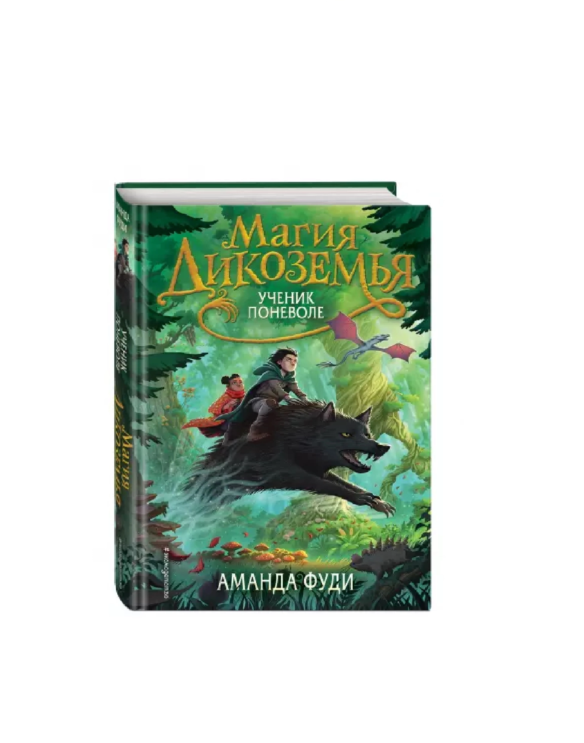 Аманда Фуди: Магия Дикоземья ученик поневоле купить