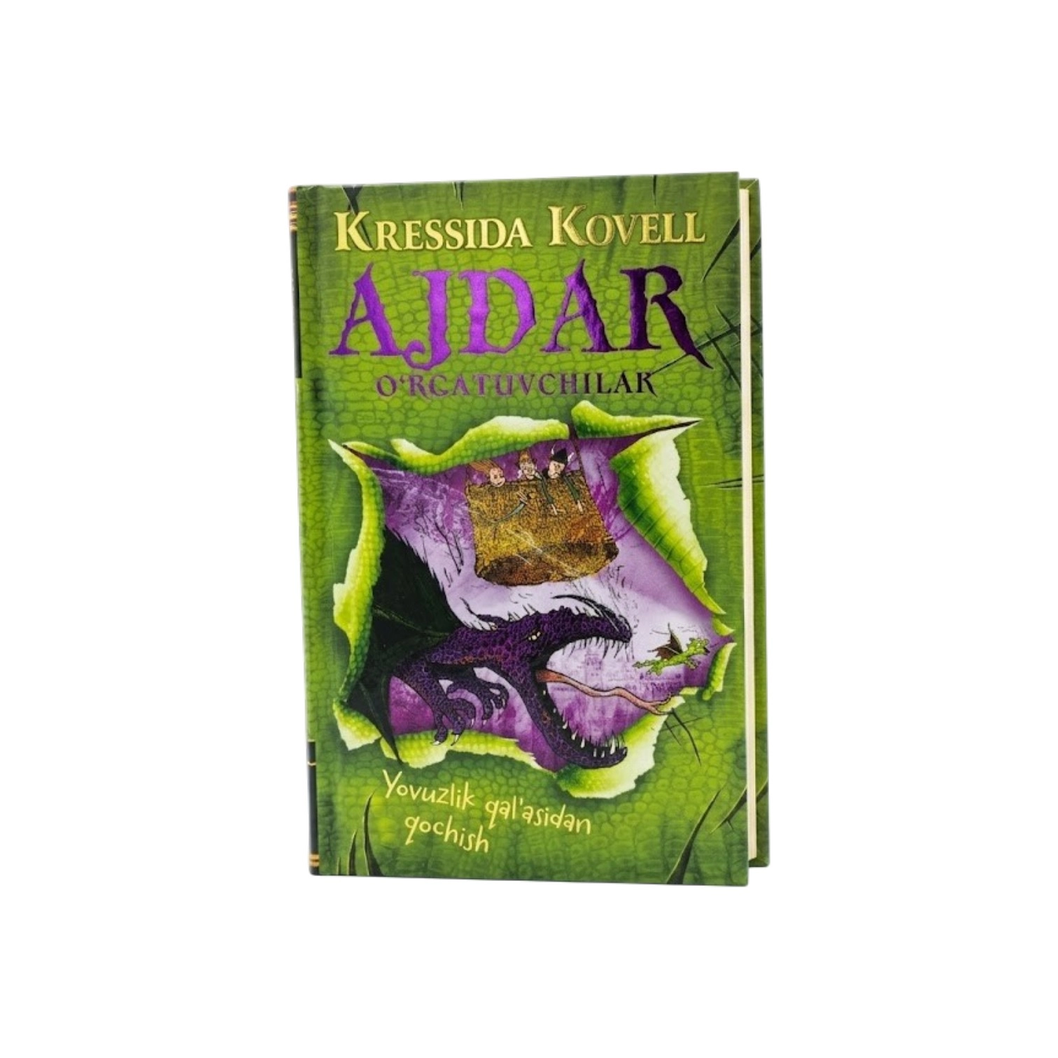 Kressida Kovell: Ajdar o'rgatuvchilar. Yozuvlik qal'asidan qochish sotib olish