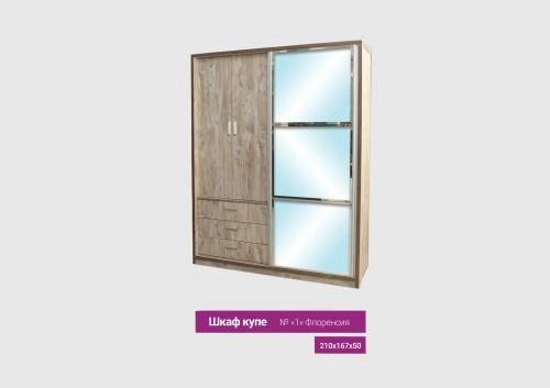 Шкаф купе Флоренсия купить