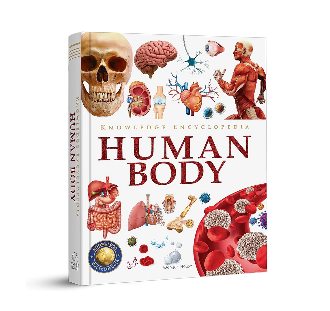 Knowledge Encyclopedia Human Body купить