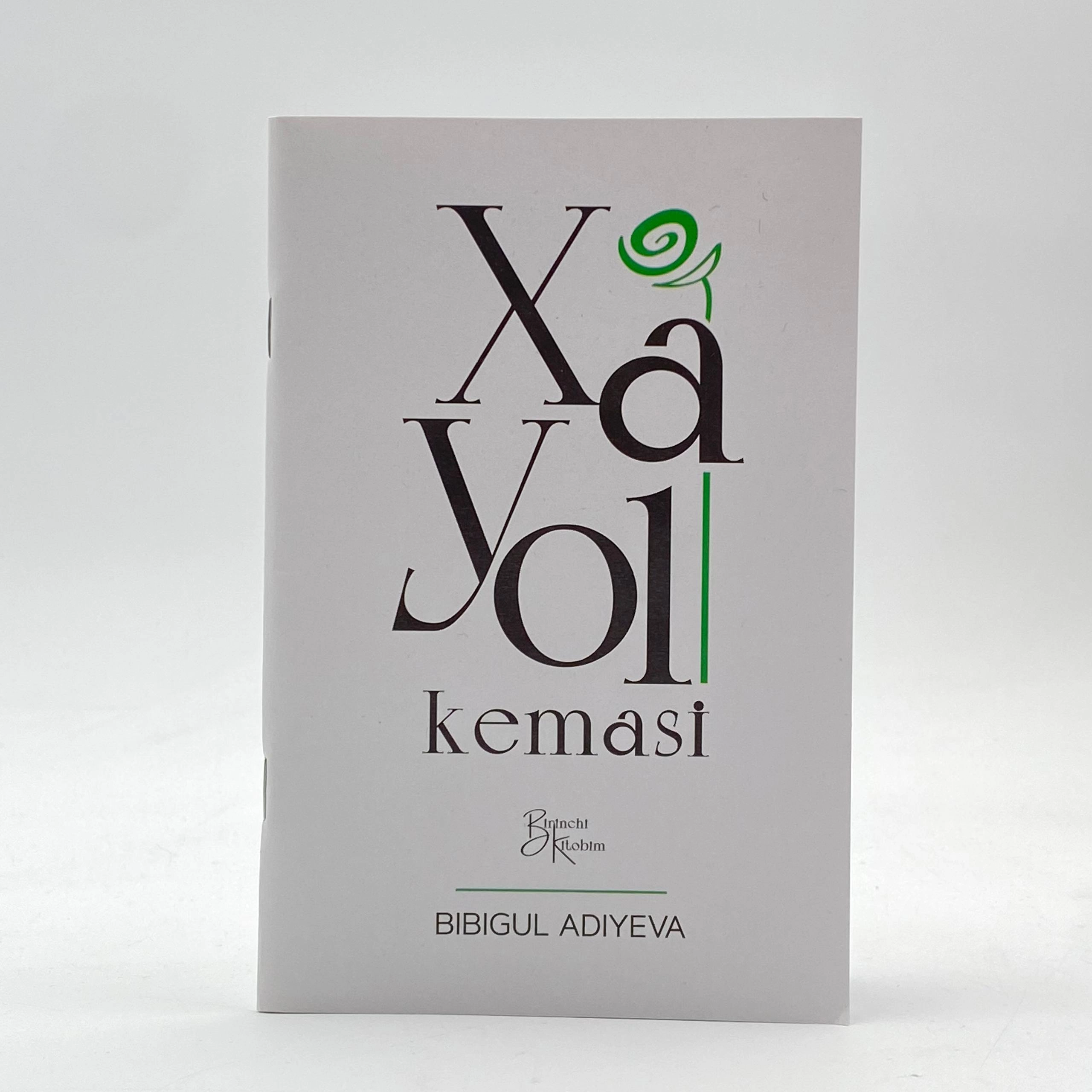 Bibigul Adiyeva: Xayol kemasi sotib olish