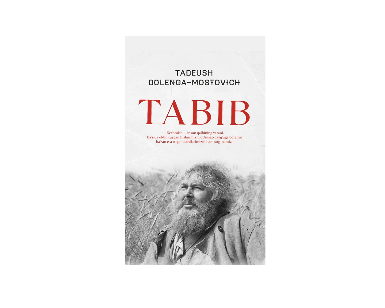 Tadeush Dolenga-Mostovich: Tabib - rasm №2 Tadeush Dolenga-Mostovich: Tabib sotib olish