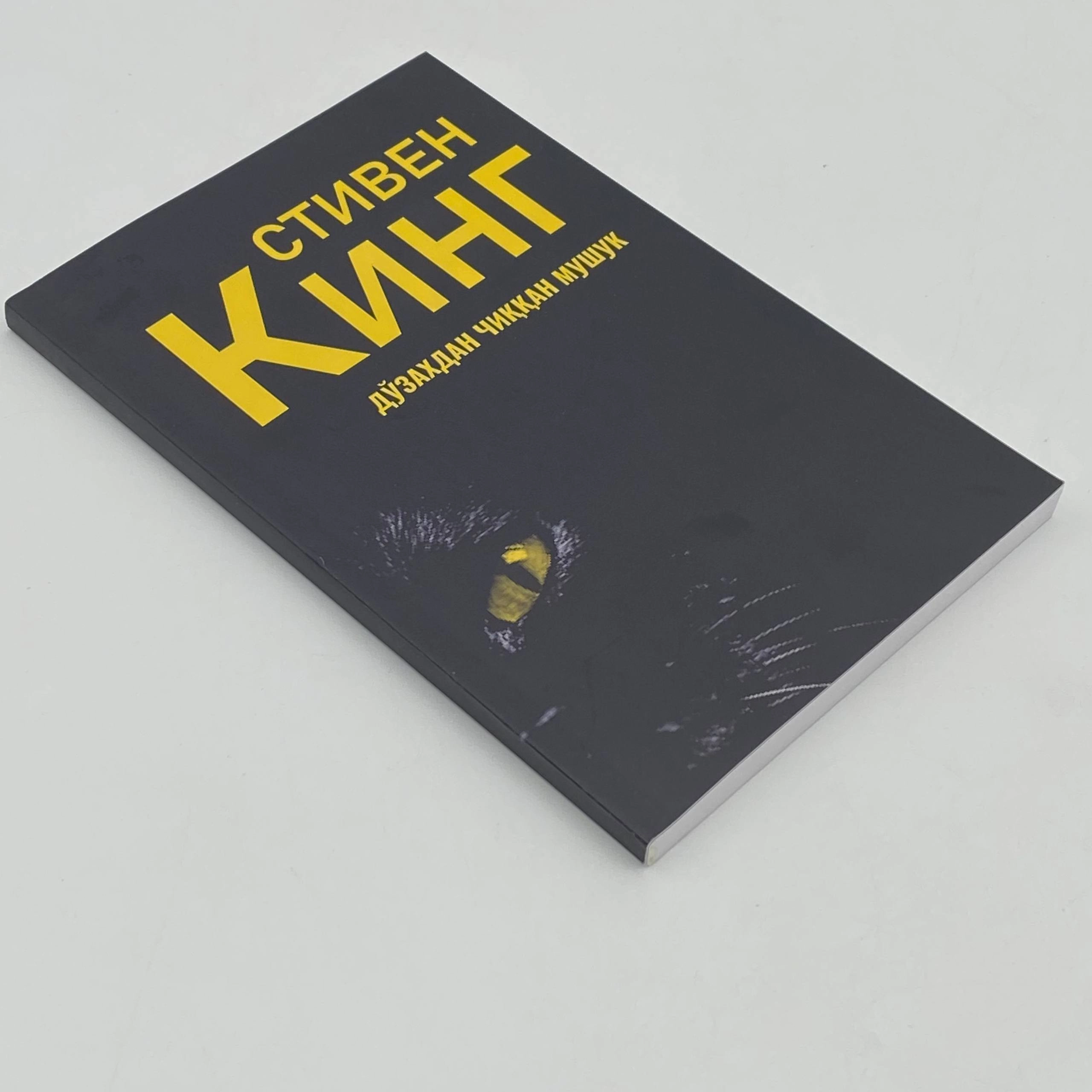 Stiven King: Do'zaxdan chiqqan mushuk arzon