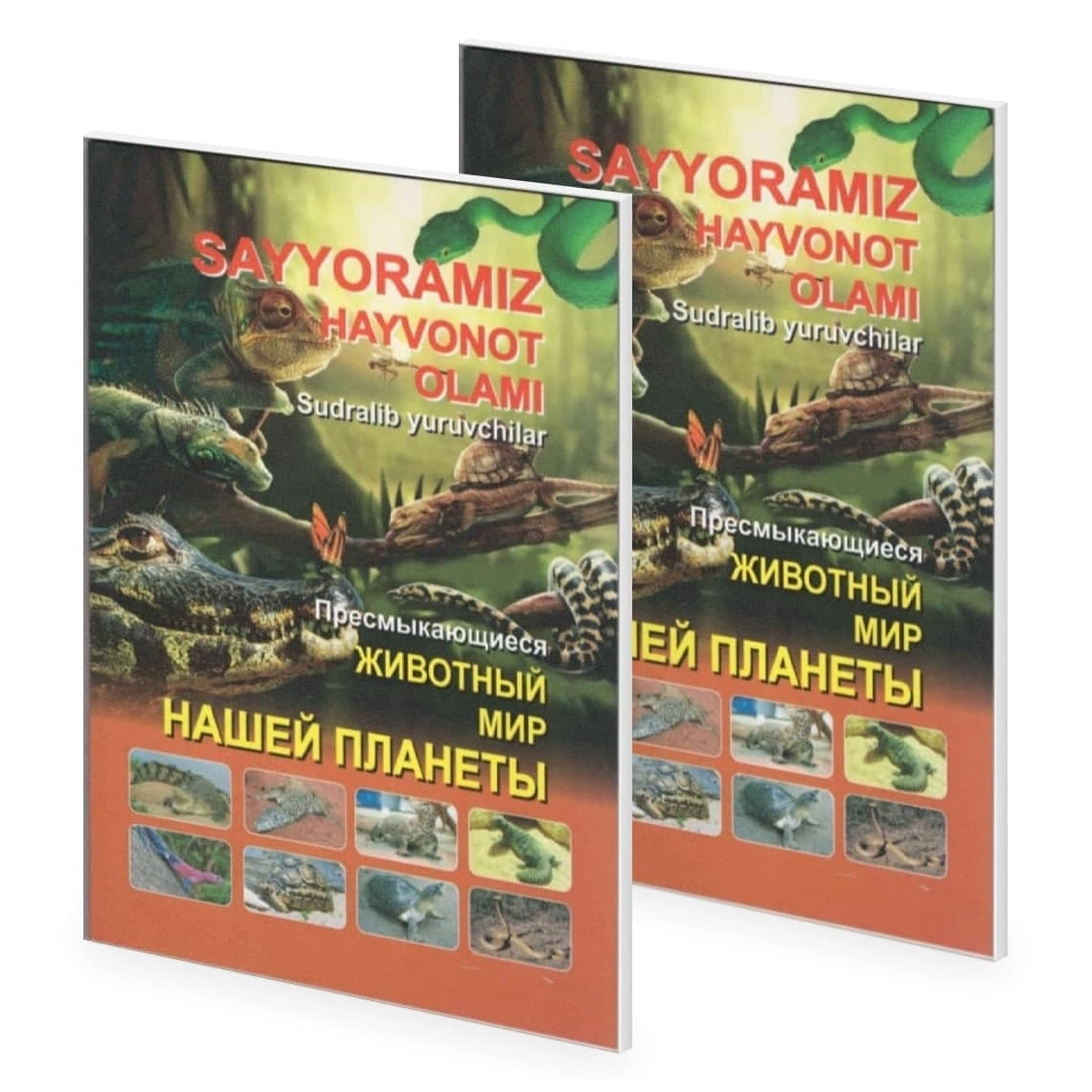 Животный мир нашей планеты: Пресмыкающиеся купить