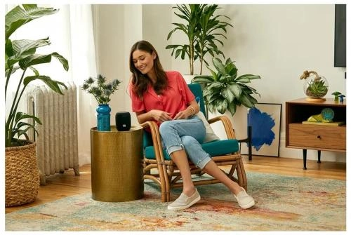 Портативная акустика JBL Link Music характеристики