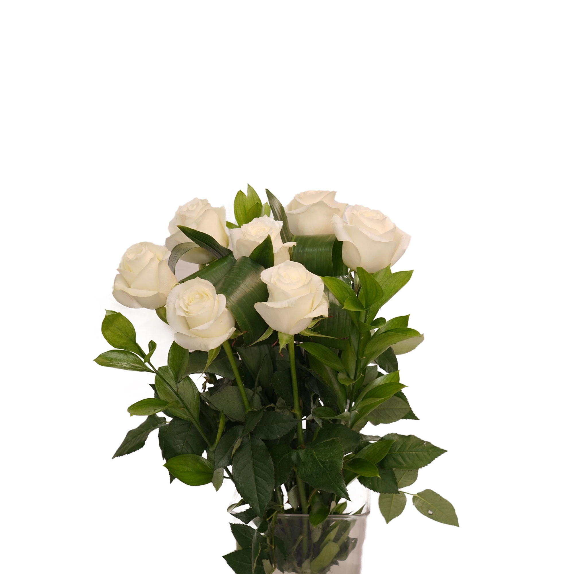 "Oq atirgul" guldastasi (7 dona) arzon