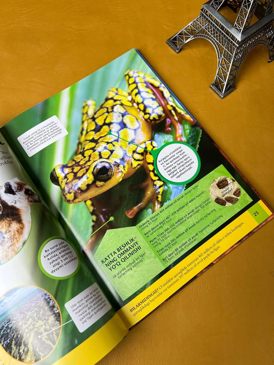 Болалар энциклопедияси: Ер сайёраси недорого