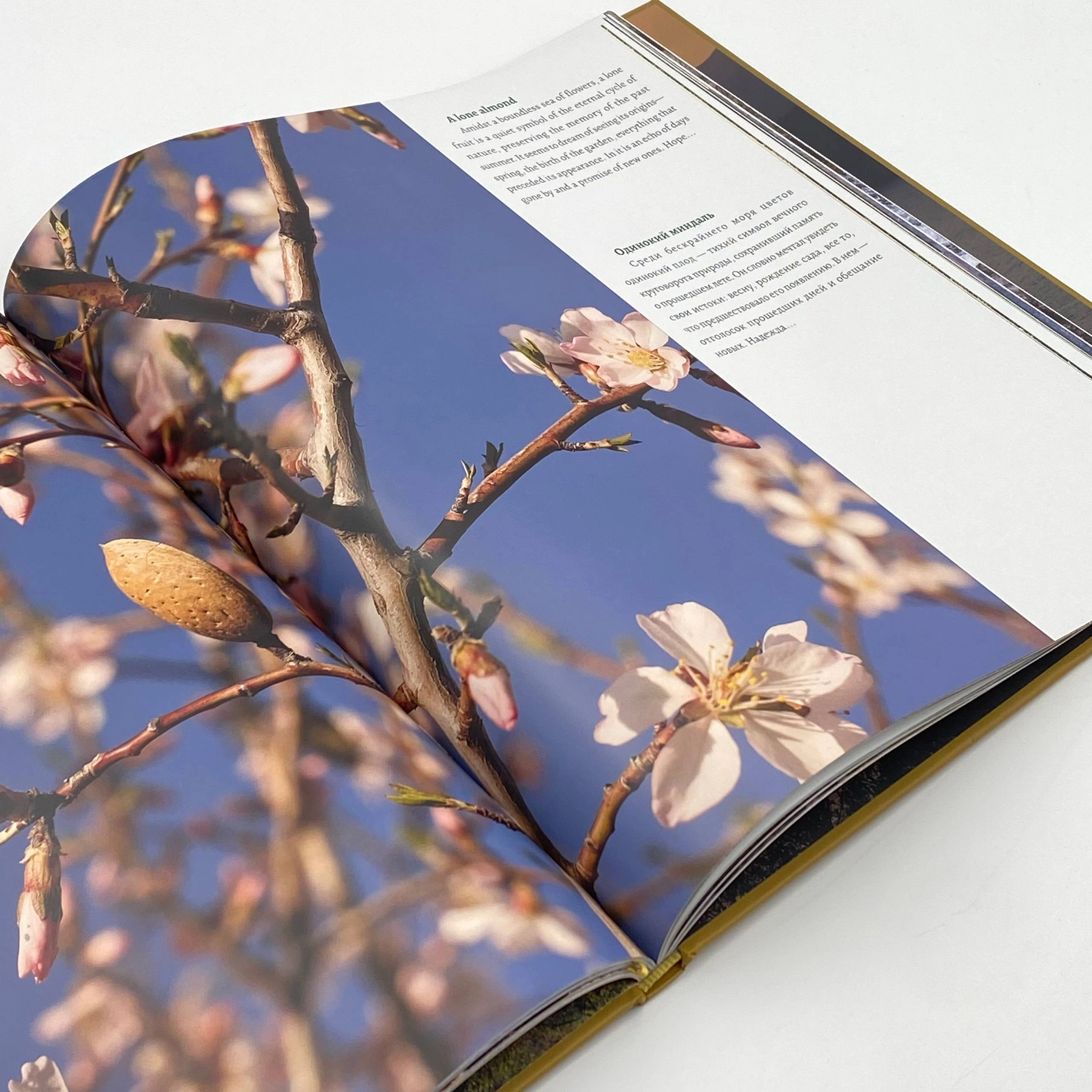 Альбом-книга Uzbekistan Seasons купить