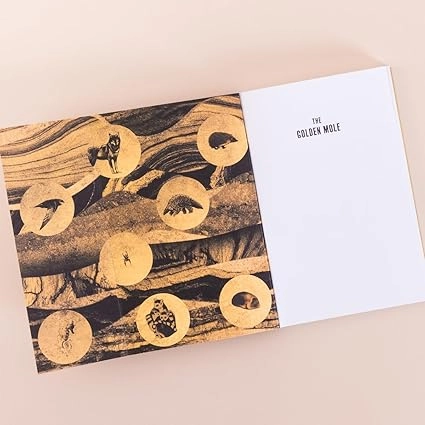 Katherine Rundell: The Golden Mole: and Other Vanishing Treasure в Узбекистане