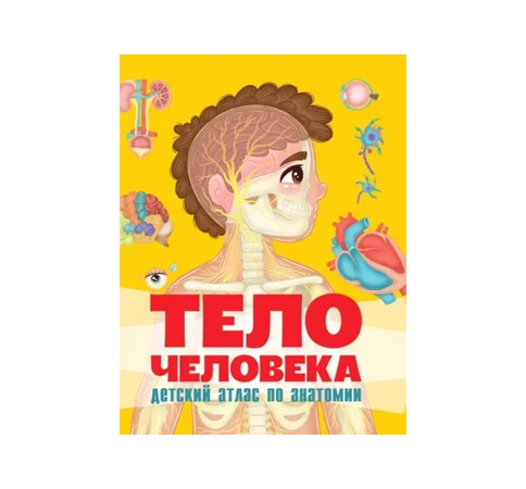 Тело Человека детский атлас по анатомии купить