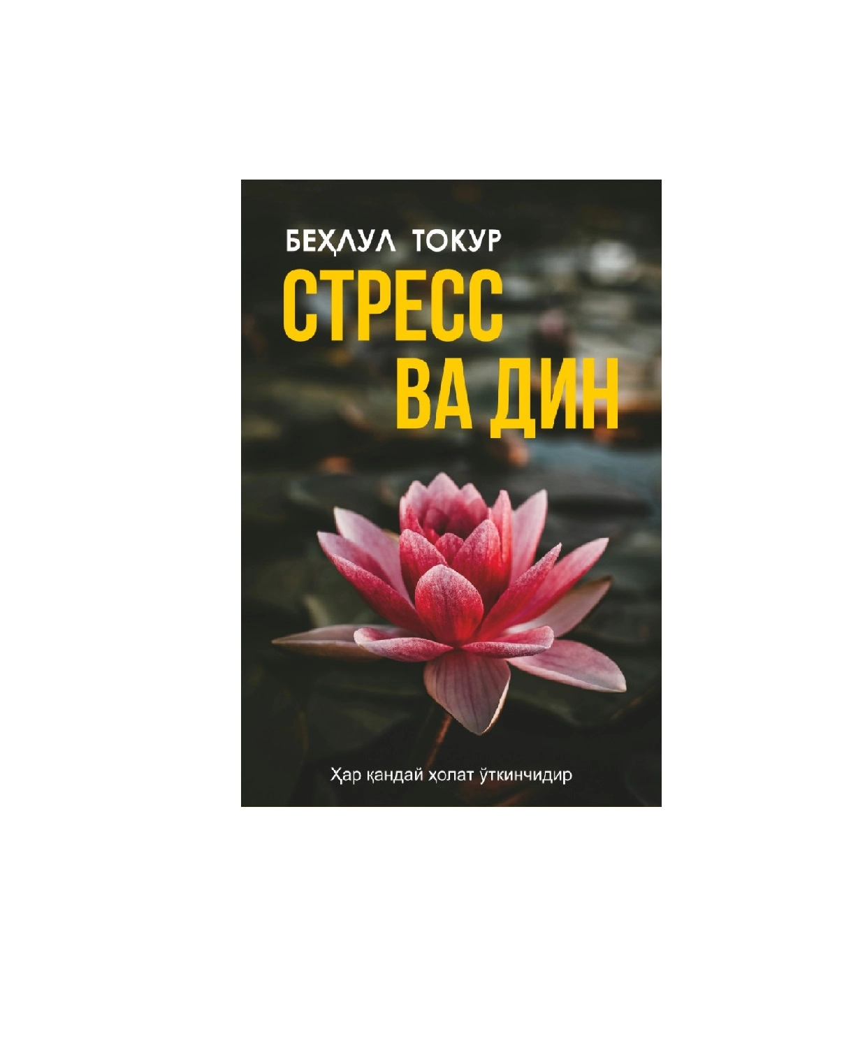 Бехлул Токур: Стресс ва дин купить