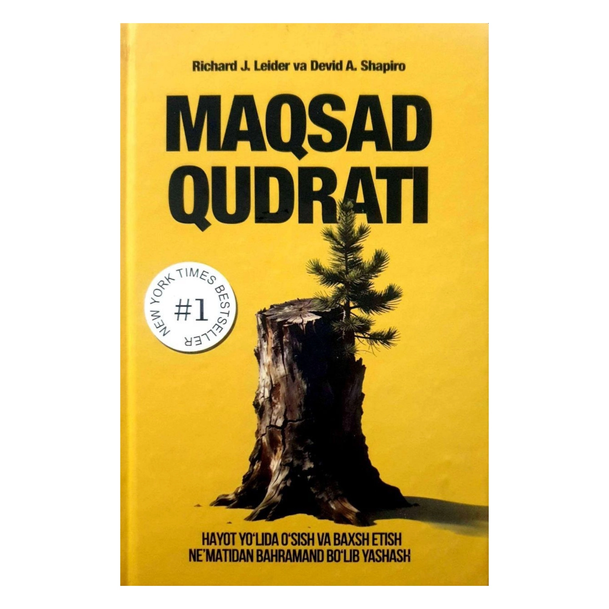 Ричард Леидер, Девид Шапиро: Мақсад қудрати купить