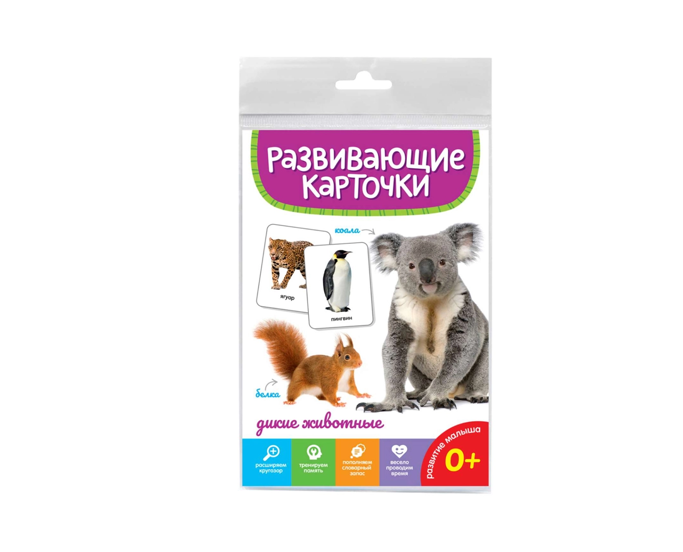 Развивающие карточки: Дикие животные sotib olish