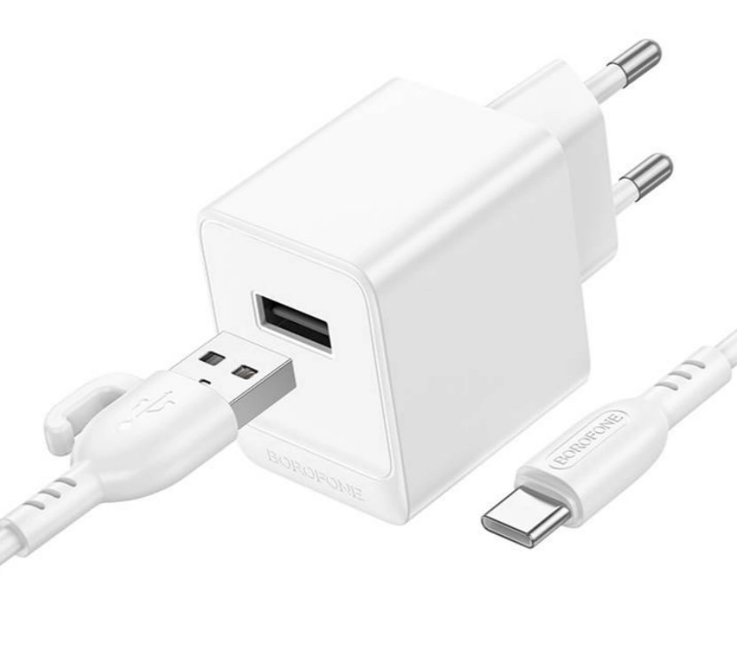 Зарядное устройство BOROFONE BAS11A + кабель Type-C недорого