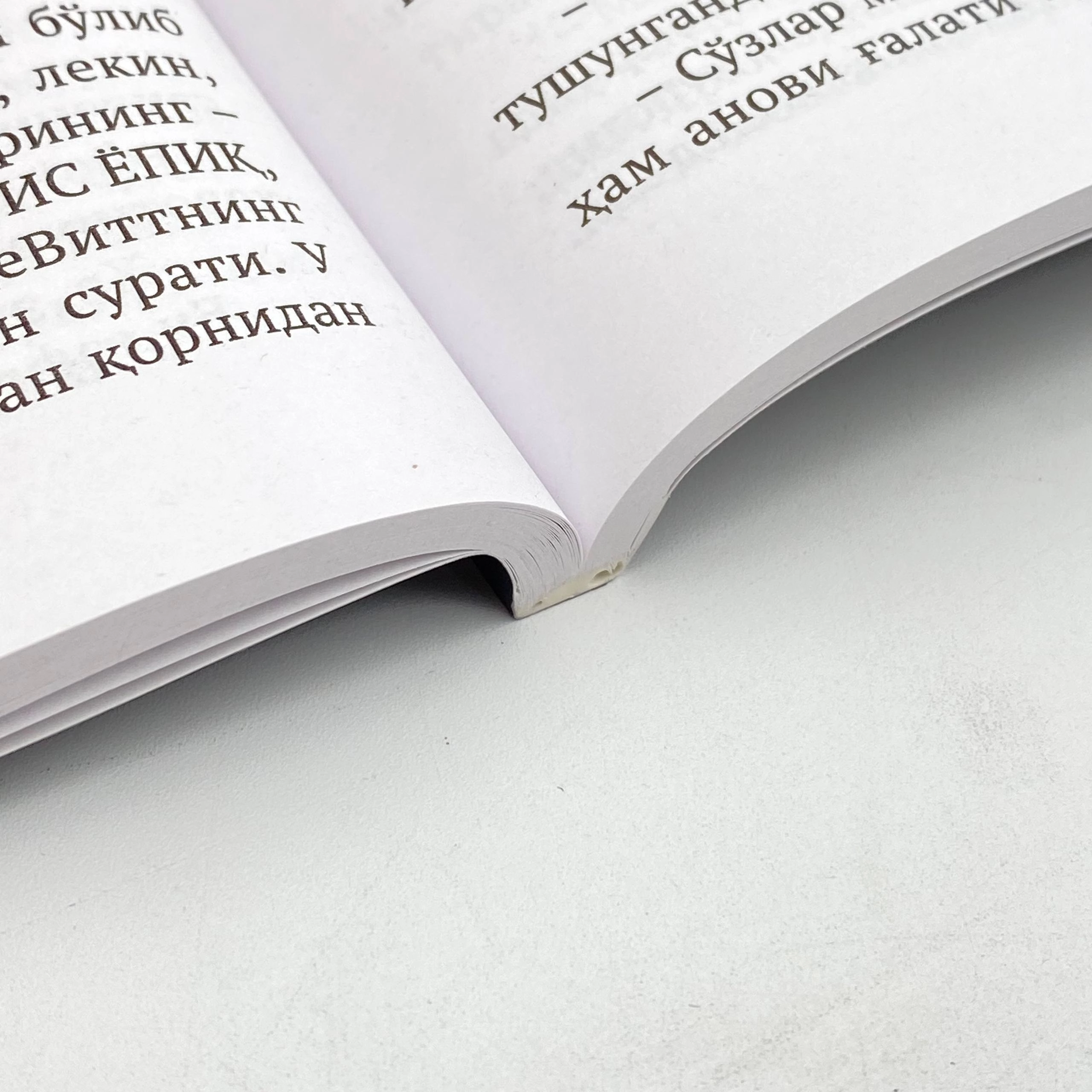 Stiven King: Do'zaxdan chiqqan mushuk onlayn