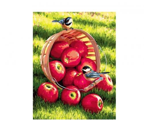 Картина по номерам "Яблоки" 50х40 см X2732 купить