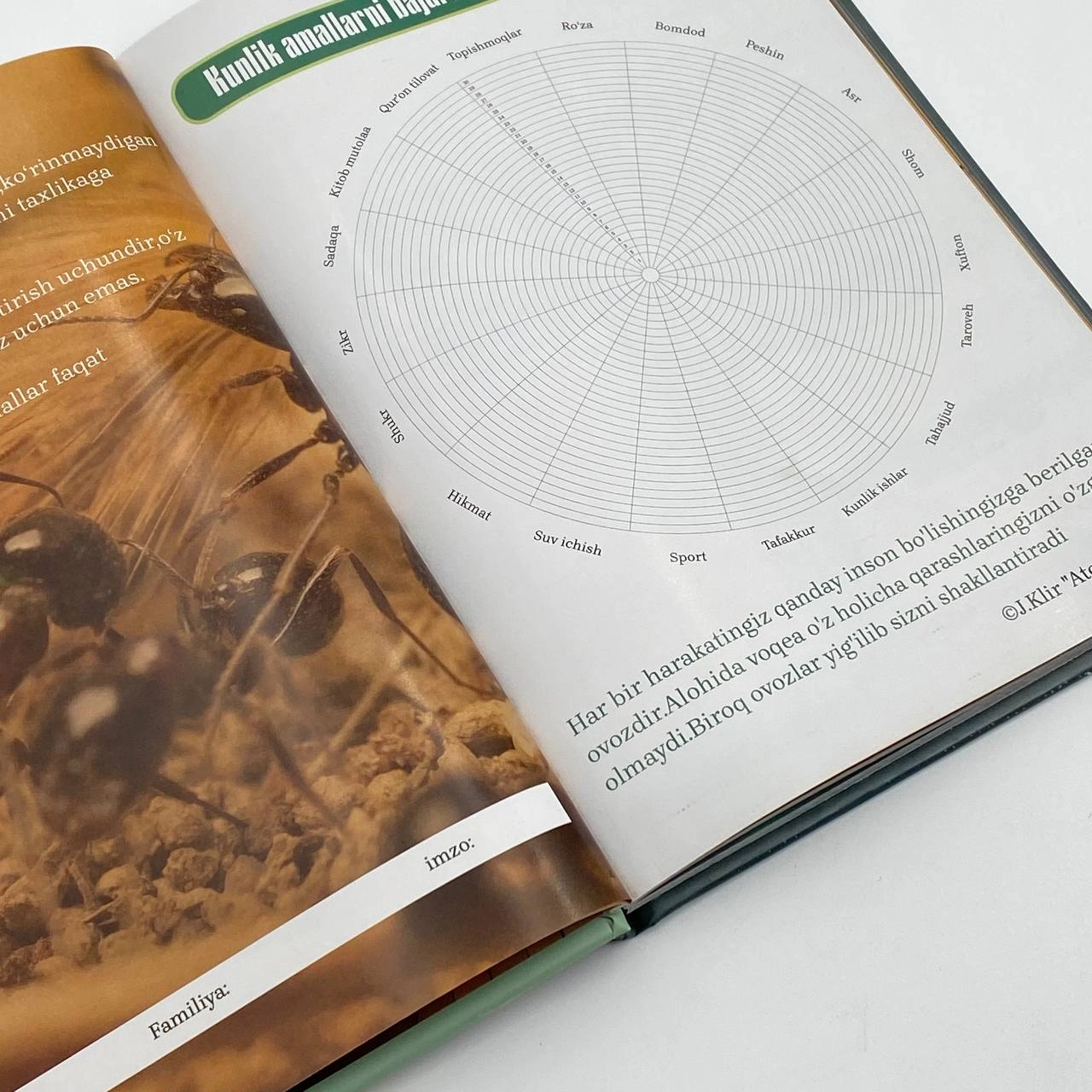 Bir umrlik ramazon lotin (yashil) bo'lib to'lash