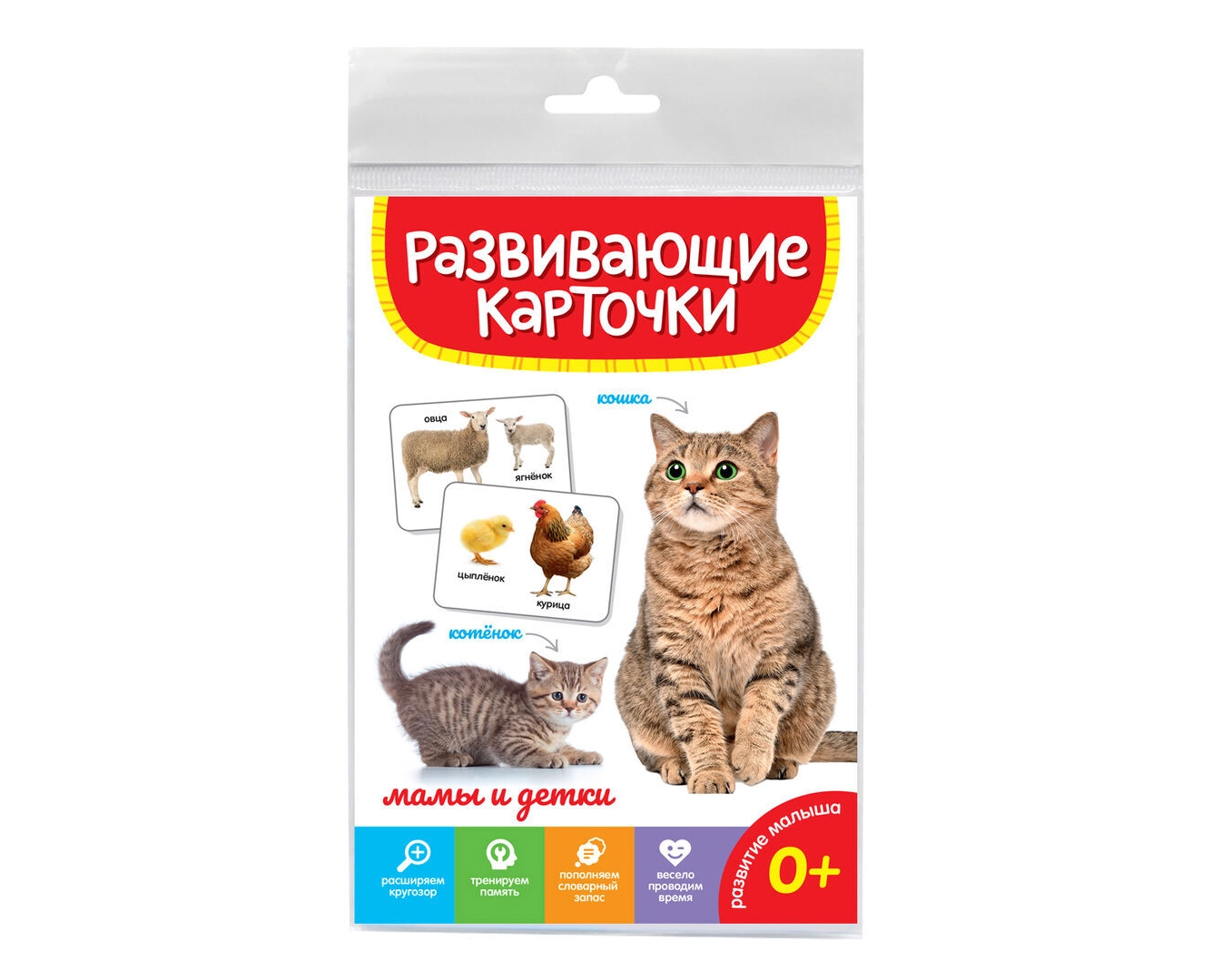 Развивающие карточки: Мамы и детки sotib olish