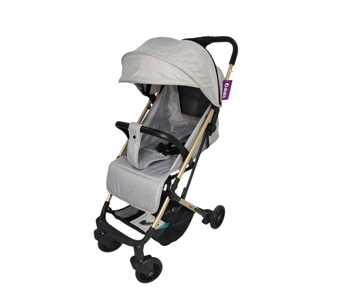 Детская коляска Didit KT-309 купить