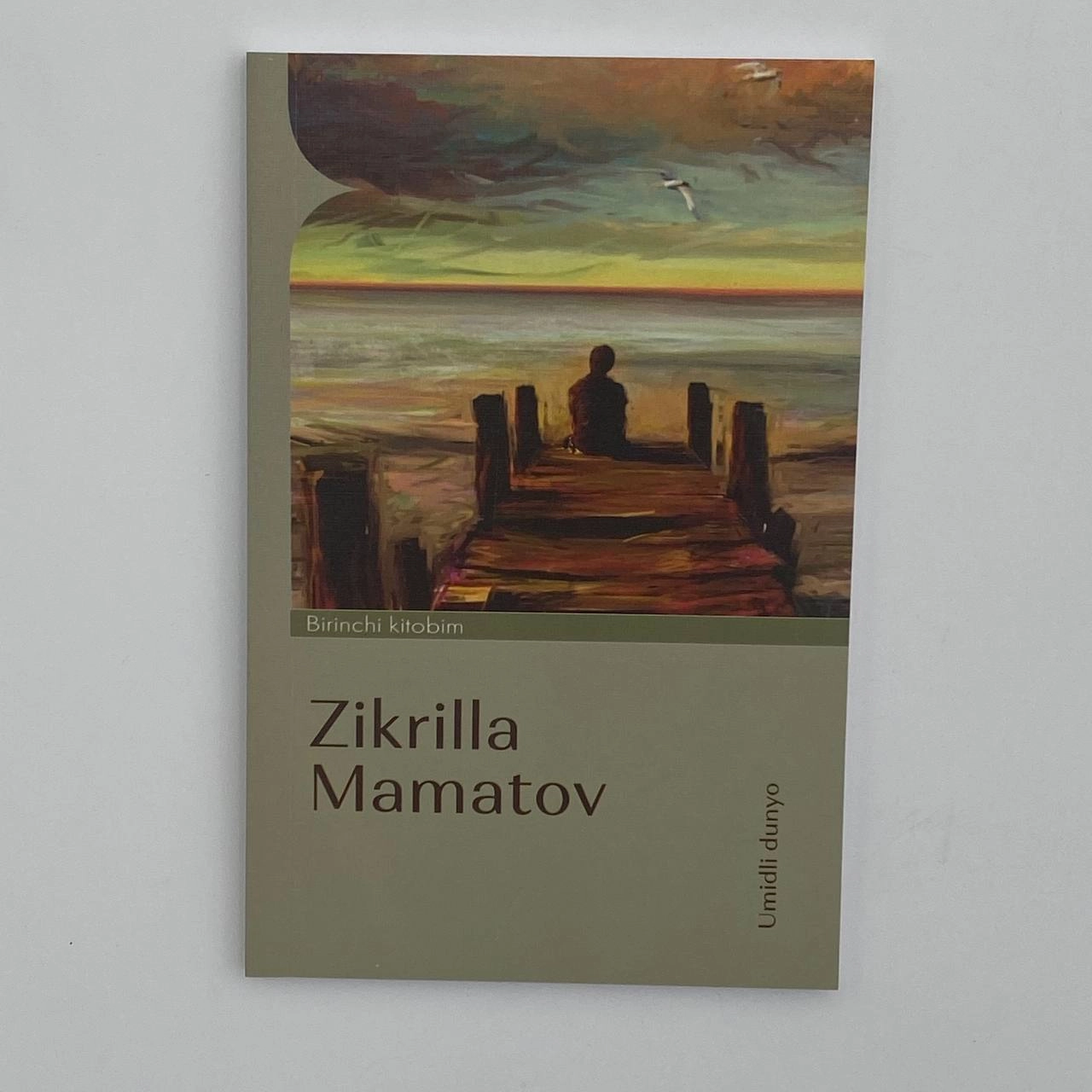 Zikrilla Mamatov: Umidli dunyo (Birinchi kitobim) - rasm №2 Zikrilla Mamatov: Umidli dunyo (Birinchi kitobim) sotib olish