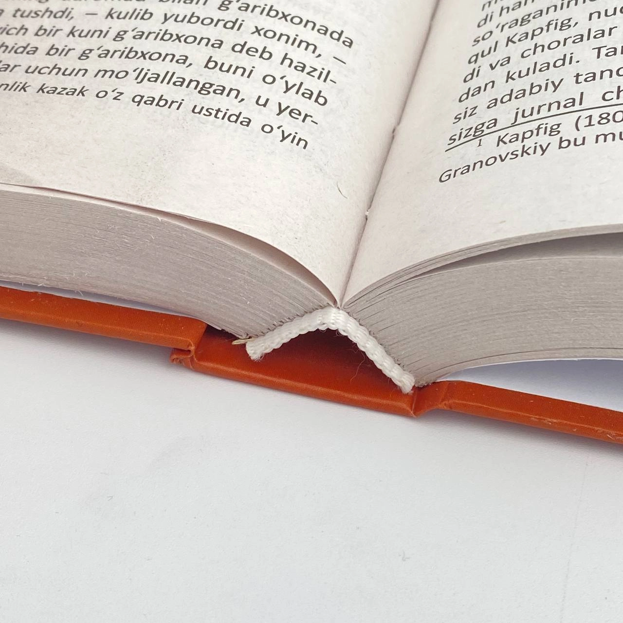 Dostoyevskiy: Iblislar (Dunyo nashr) onlayn