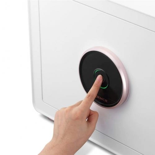 Биометрический сейф Xiaomi CRMCR Smart Safe Cayo Anno (Black) недорого