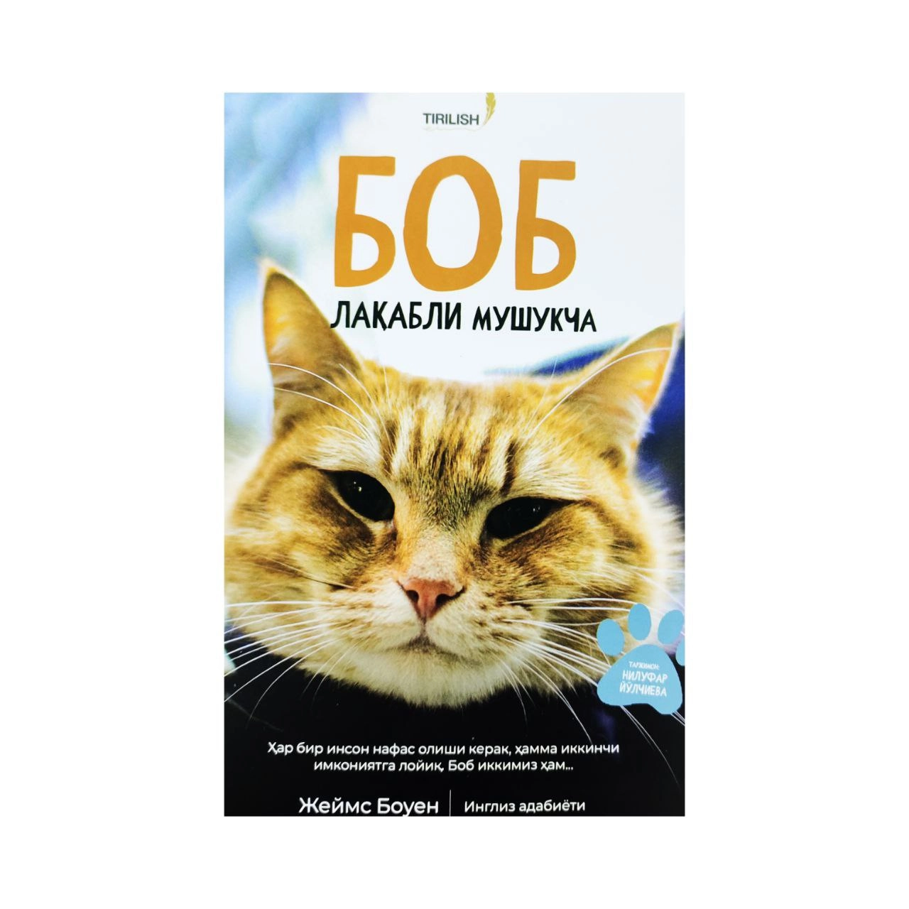 Jeyms Bouyen: Bob laqabli mushukcha sotib olish