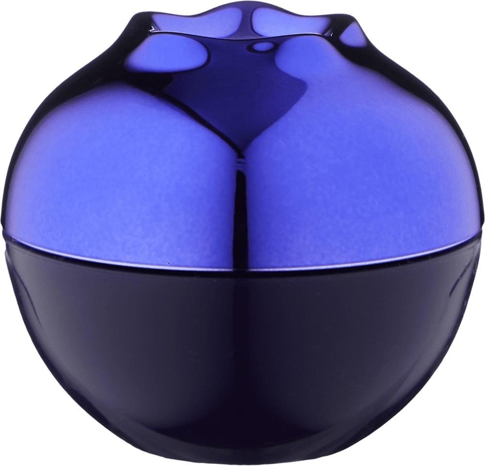 MINI FRUIT LIP BALM BLUEBERRY - Lab uchun balzam arzon