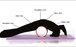 Колесо для йоги A370 15-25-32cм купить