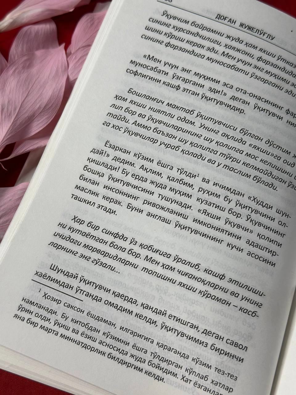 Dog'an Jujelo'g'lu: Mehr bering menga, muallim xususiyatlar