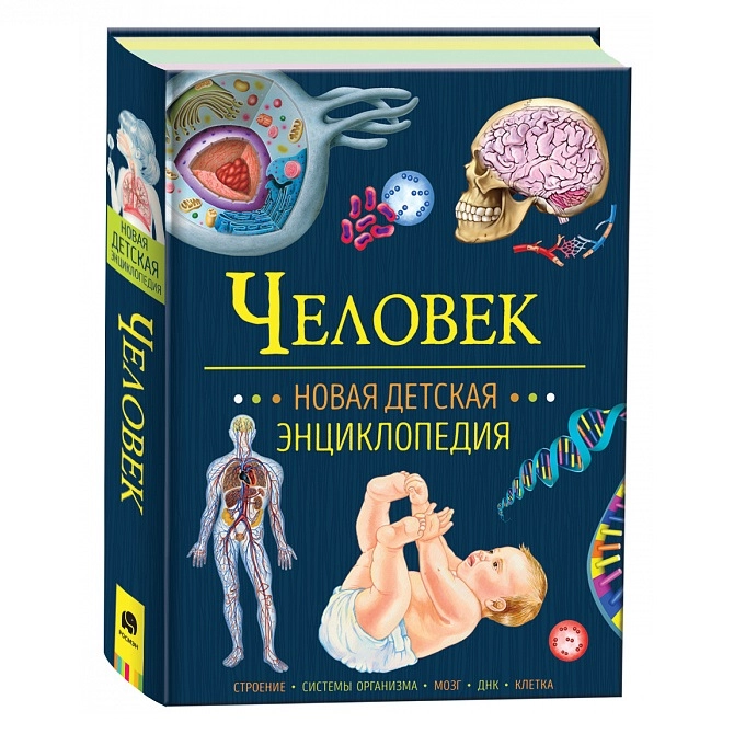 Человек. Новая детская энциклопедия sotib olish