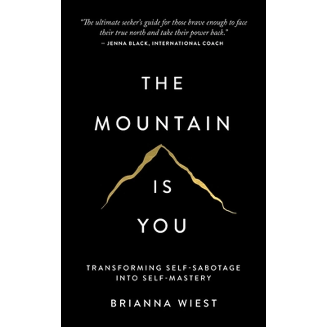 Brianna Weist : The mountain is you (soft cover). sotib olish