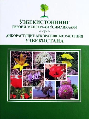 O‘zbekistonning yovvoyi manzarali o‘simliklari sotib olish