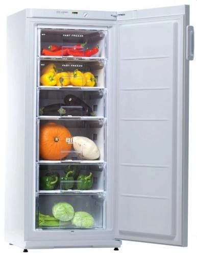 Морозильник Snaige F 22 SM  купить