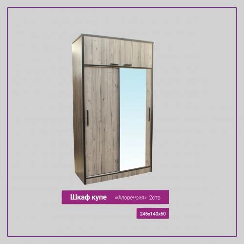 Шкаф купе Флоренсия  купить
