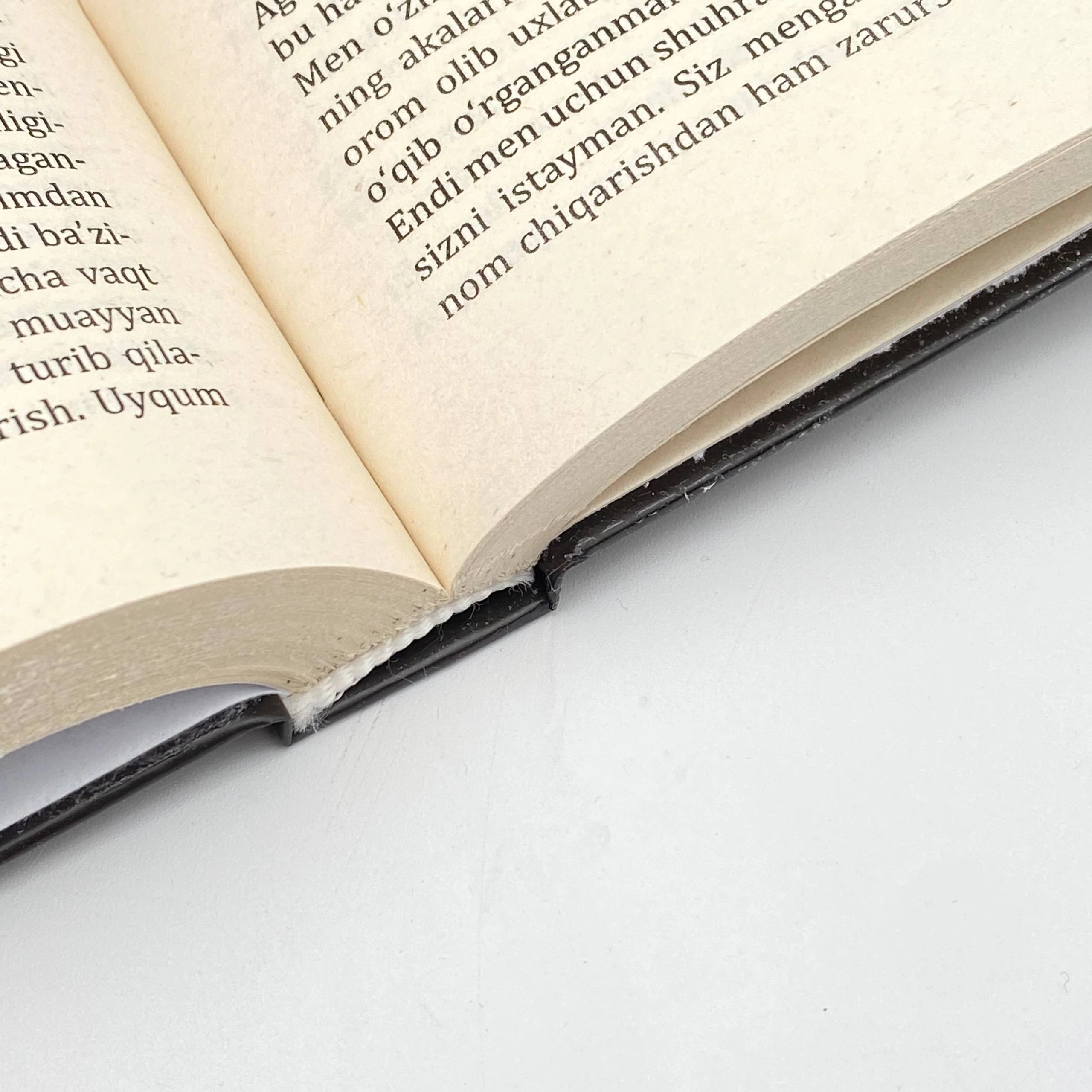 Жек Лондон: Мартин Иден (Янги Аср Авлоди) онлайн