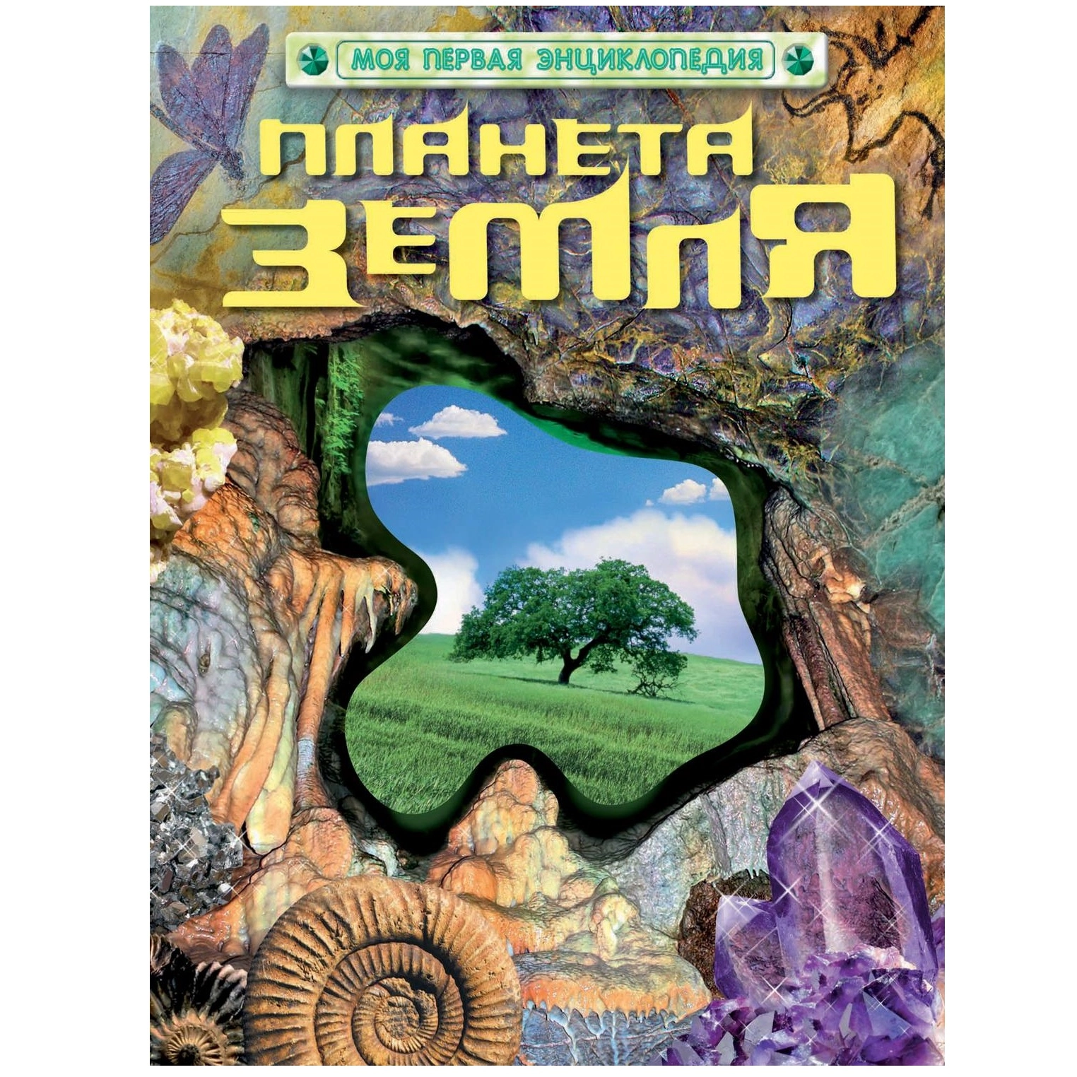 Планета Земля (Моя первая энциклопедия) купить