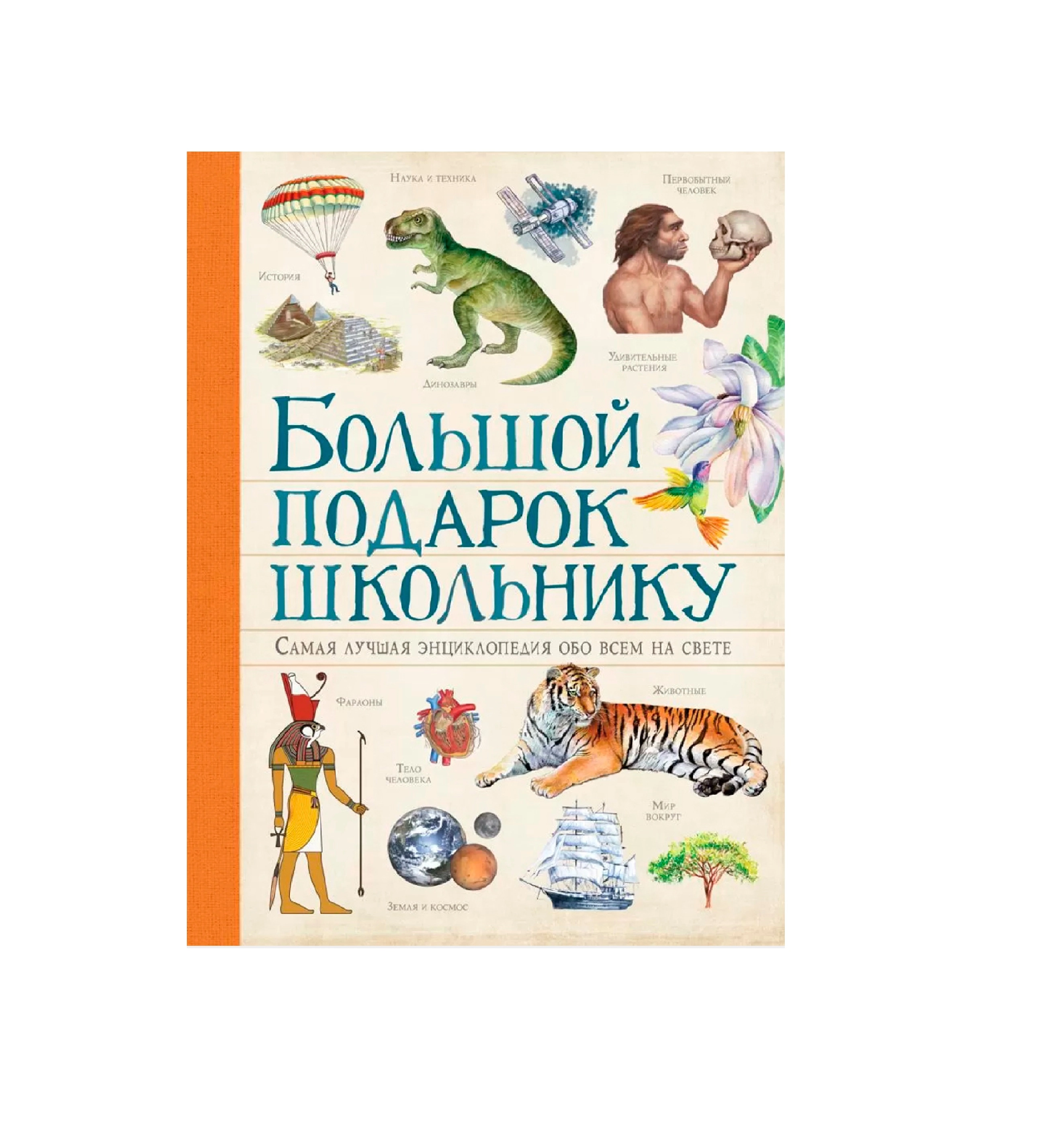 Большой Подарок Школьнику sotib olish