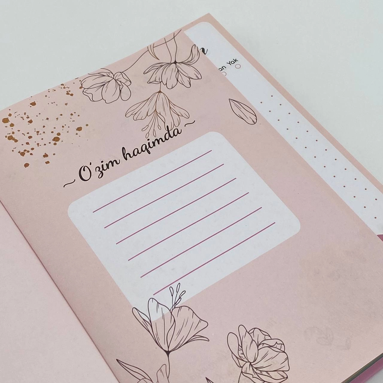 Дневник: 365 Rejali kun (розовий) в Узбекистане