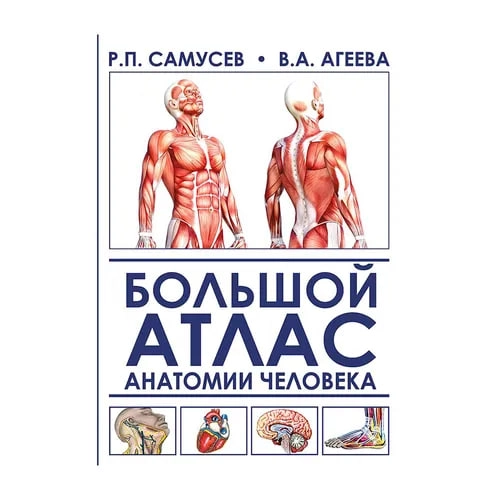 Р.п. Самусев: Большой атлас анатомии человека купить