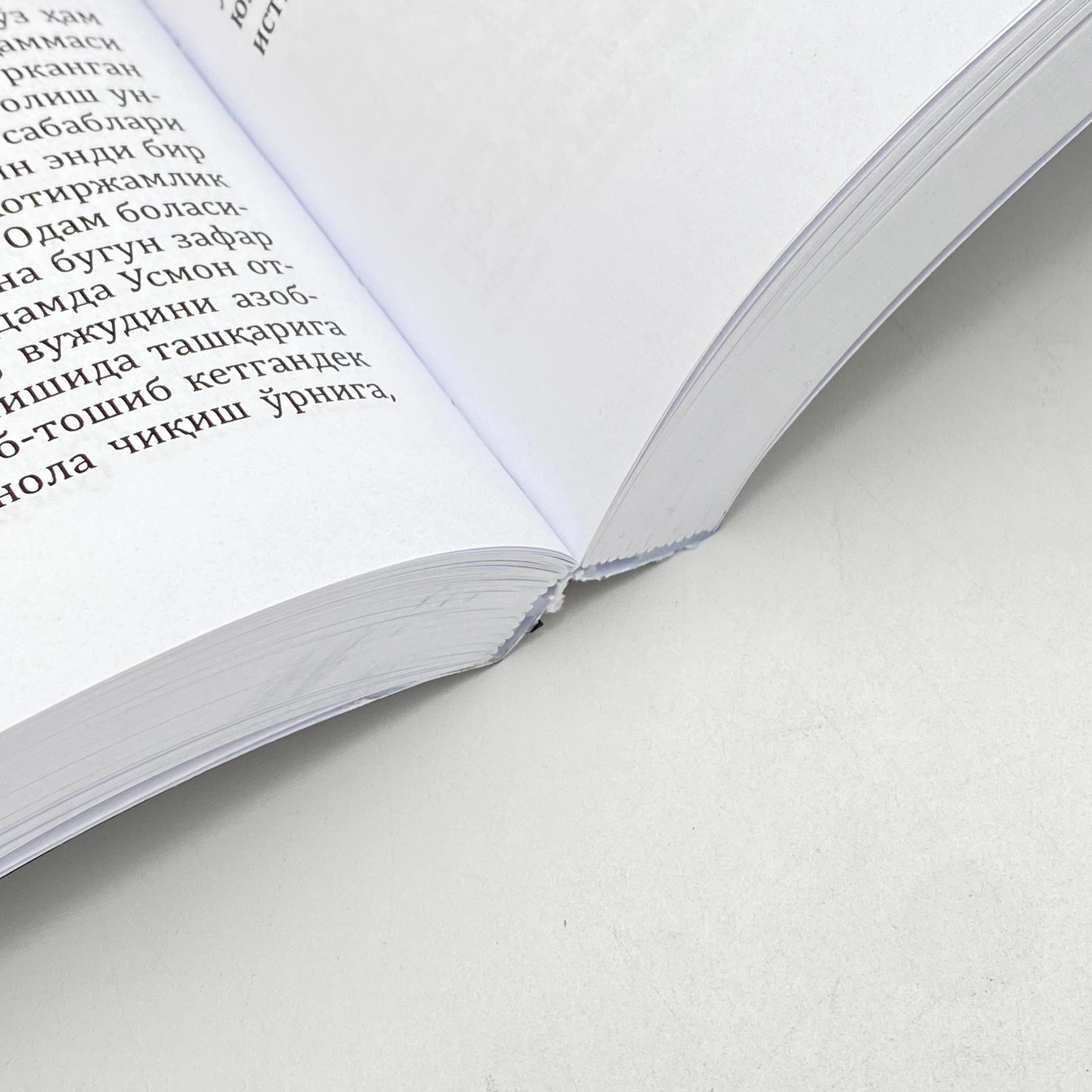 Narimon Sodiqov: Tubsizlik (ikkinchi kitob) onlayn